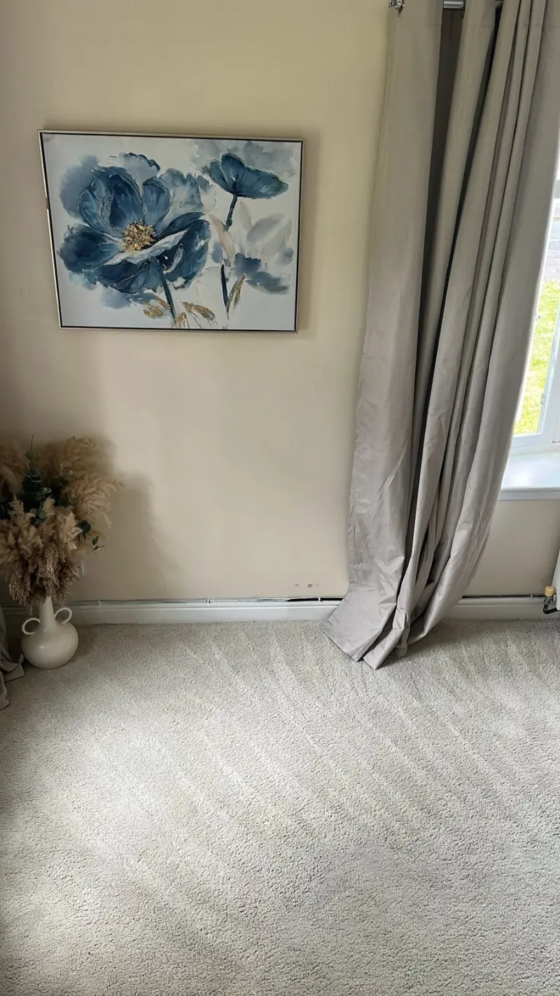 Freshly cleaned carpet in a sitting room