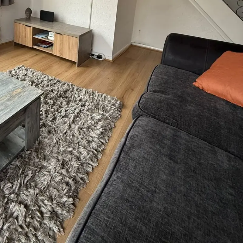 Freshly cleaned fabric sofa and rug
